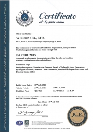 ISO 9001 (ENG)